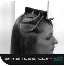 Bristles gyors hajcsipesz 5-10 hajtincs rögzítésére